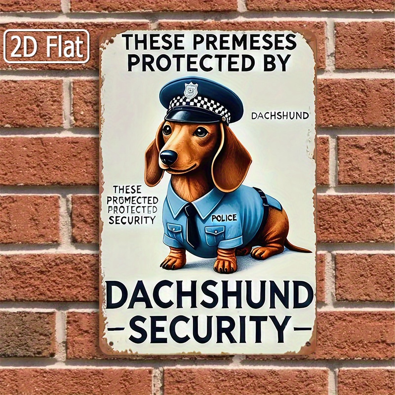 2D Flat, [2D Flat] 1-Piece Fun - Home Security Outdoor review and price