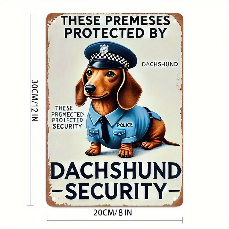 2D Flat, [2D Flat] 1-Piece Fun - Home Security Outdoor review and price
