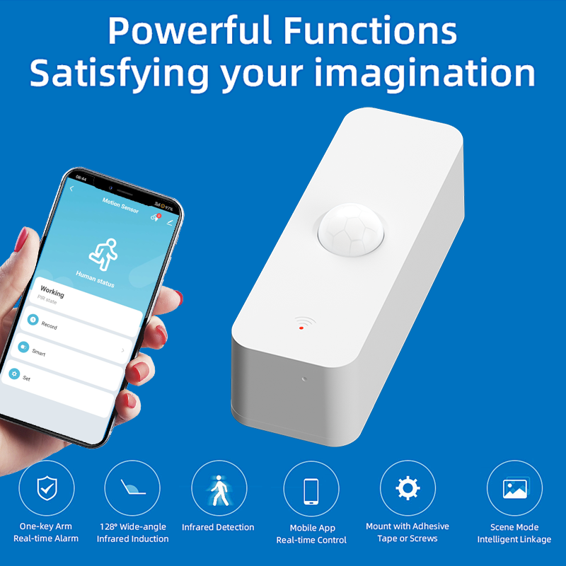 Tuya WiFi Zigbee PIR Motion Se - Home Security Alexa review and price